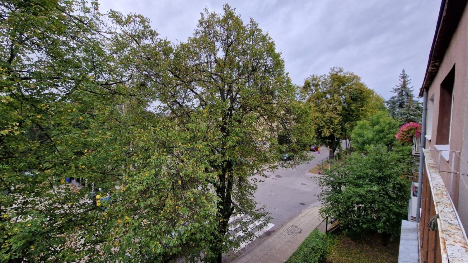 Appartamento Apartament Classic Malbork Esterno foto